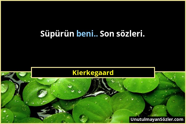 Kierkegaard - Süpürün beni.. Son sözleri....