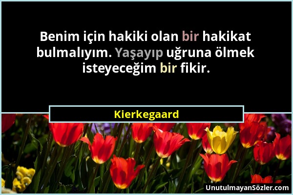 Kierkegaard - Benim için hakiki olan bir hakikat bulmalıyım. Yaşayıp uğruna ölmek isteyeceğim bir fikir....