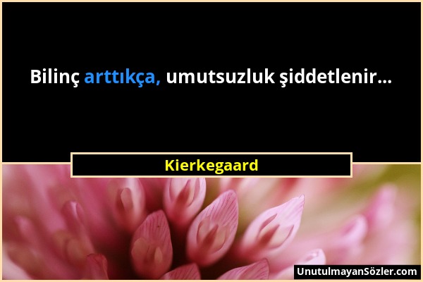 Kierkegaard - Bilinç arttıkça, umutsuzluk şiddetlenir......