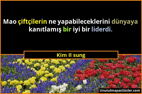 Kim Il sung - Mao çiftçilerin ne yapabileceklerini dünyaya kanıtlamış bir iyi bir liderdi....