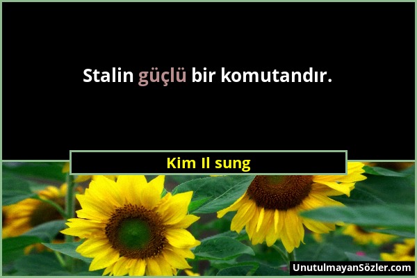 Kim Il sung - Stalin güçlü bir komutandır....