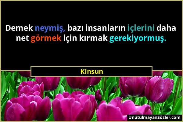 Kinsun - Demek neymiş, bazı insanların içlerini daha net görmek için kırmak gerekiyormuş....