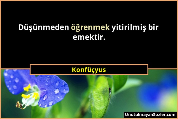 Konfüçyus - Düşünmeden öğrenmek yitirilmiş bir emektir....