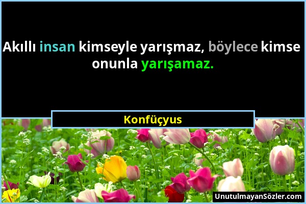 Konfüçyus - Akıllı insan kimseyle yarışmaz, böylece kimse onunla yarışamaz....