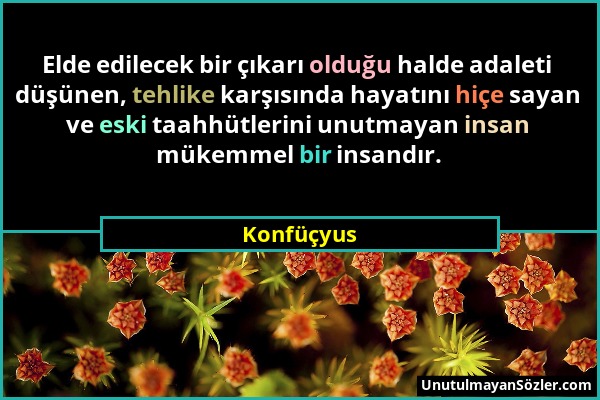 Konfüçyus - Elde edilecek bir çıkarı olduğu halde adaleti düşünen, tehlike karşısında hayatını hiçe sayan ve eski taahhütlerini unutmayan insan mükemm...