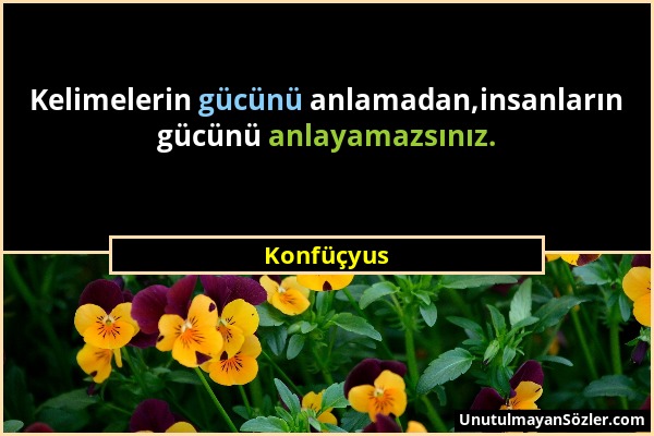 Konfüçyus - Kelimelerin gücünü anlamadan,insanların gücünü anlayamazsınız....