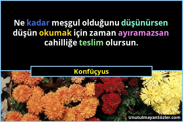 Konfüçyus - Ne kadar meşgul olduğunu düşünürsen düşün okumak için zaman ayıramazsan cahilliğe teslim olursun....