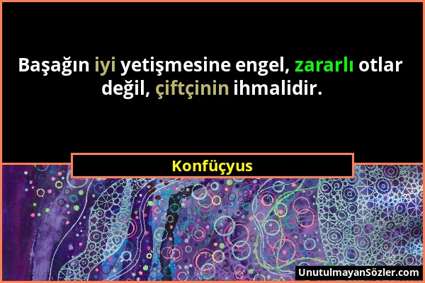 Konfüçyus - Başağın iyi yetişmesine engel, zararlı otlar değil, çiftçinin ihmalidir....