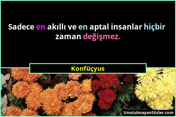 Konfüçyus - Sadece en akıllı ve en aptal insanlar hiçbir zaman değişmez....