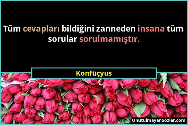 Konfüçyus - Tüm cevapları bildiğini zanneden insana tüm sorular sorulmamıştır....