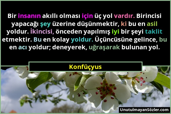 Konfüçyus - Bir insanın akıllı olması için üç yol vardır. Birincisi yapacağı şey üzerine düşünmektir, ki bu en asil yoldur. İkincisi, önceden yapılmış...