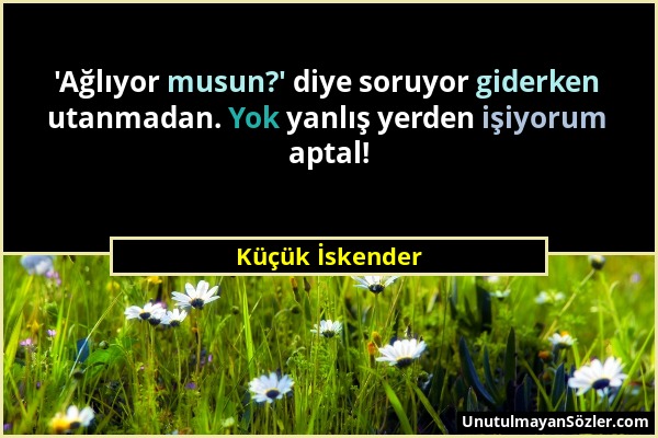 Küçük İskender - 'Ağlıyor musun?' diye soruyor giderken utanmadan. Yok yanlış yerden işiyorum aptal!...