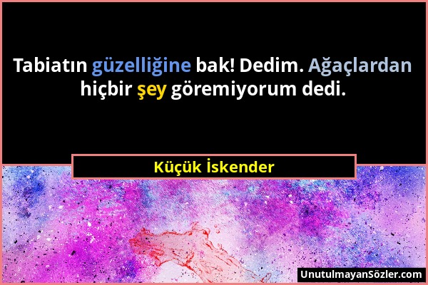 Küçük İskender - Tabiatın güzelliğine bak! Dedim. Ağaçlardan hiçbir şey göremiyorum dedi....