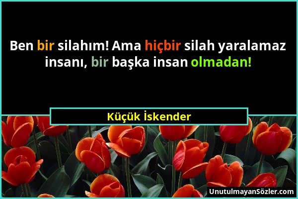 Küçük İskender - Ben bir silahım! Ama hiçbir silah yaralamaz insanı, bir başka insan olmadan!...