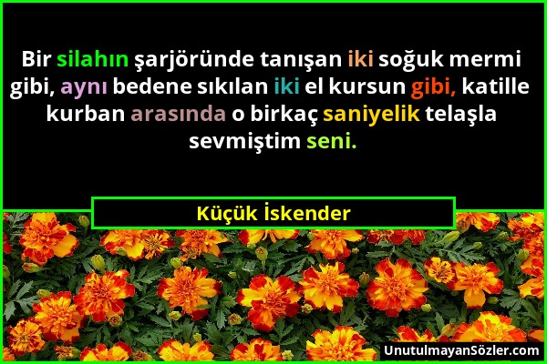 Küçük İskender - Bir silahın şarjöründe tanışan iki soğuk mermi gibi, aynı bedene sıkılan iki el kursun gibi, katille kurban arasında o birkaç saniyel...