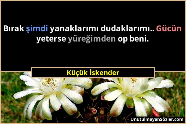 Küçük İskender - Bırak şimdi yanaklarımı dudaklarımı.. Gücün yeterse yüreğimden op beni....