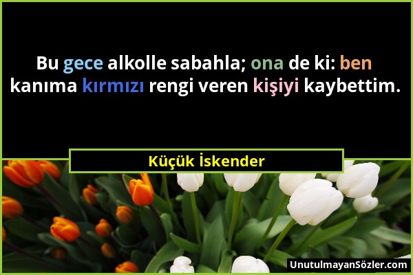 Küçük İskender - Bu gece alkolle sabahla; ona de ki: ben kanıma kırmızı rengi veren kişiyi kaybettim....