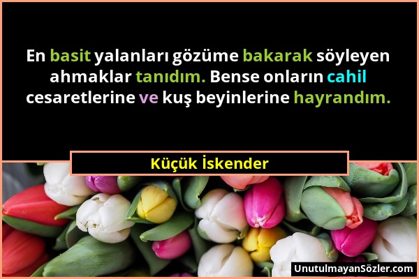 Küçük İskender - En basit yalanları gözüme bakarak söyleyen ahmaklar tanıdım. Bense onların cahil cesaretlerine ve kuş beyinlerine hayrandım....