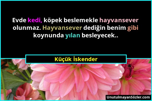 Küçük İskender - Evde kedi, köpek beslemekle hayvansever olunmaz. Hayvansever dediğin benim gibi koynunda yılan besleyecek.....