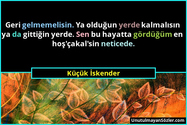 Küçük İskender - Geri gelmemelisin. Ya olduğun yerde kalmalısın ya da gittiğin yerde. Sen bu hayatta gördüğüm en hoş'çakal'sin neticede....