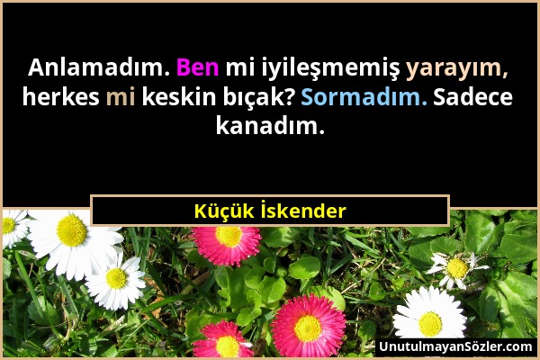 Küçük İskender - Anlamadım. Ben mi iyileşmemiş yarayım, herkes mi keskin bıçak? Sormadım. Sadece kanadım....