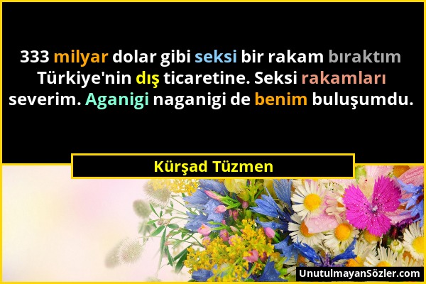 Kürşad Tüzmen - 333 milyar dolar gibi seksi bir rakam bıraktım Türkiye'nin dış ticaretine. Seksi rakamları severim. Aganigi naganigi de benim buluşumd...