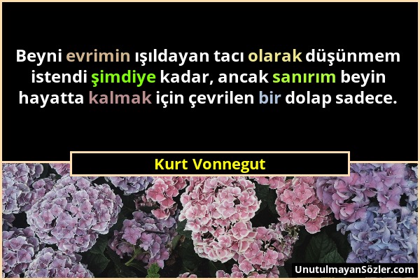 Kurt Vonnegut - Beyni evrimin ışıldayan tacı olarak düşünmem istendi şimdiye kadar, ancak sanırım beyin hayatta kalmak için çevrilen bir dolap sadece....