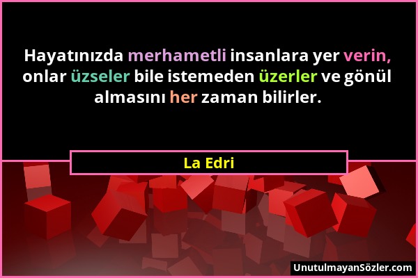 La Edri - Hayatınızda merhametli insanlara yer verin, onlar üzseler bile istemeden üzerler ve gönül almasını her zaman bilirler....