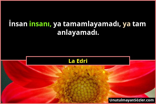 La Edri - İnsan insanı, ya tamamlayamadı, ya tam anlayamadı....