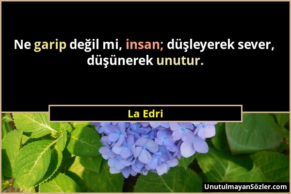 La Edri - Ne garip değil mi, insan; düşleyerek sever, düşünerek unutur....