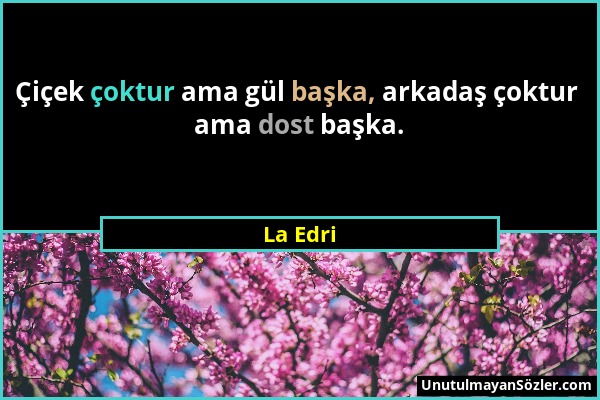 La Edri - Çiçek çoktur ama gül başka, arkadaş çoktur ama dost başka....