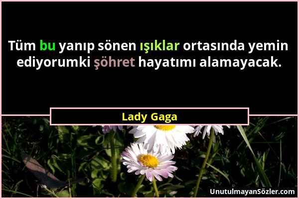 Lady Gaga - Tüm bu yanıp sönen ışıklar ortasında yemin ediyorumki şöhret hayatımı alamayacak....