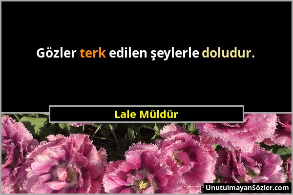 Lale Müldür - Gözler terk edilen şeylerle doludur....