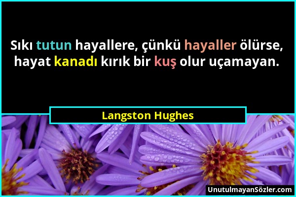 Langston Hughes - Sıkı tutun hayallere, çünkü hayaller ölürse, hayat kanadı kırık bir kuş olur uçamayan....