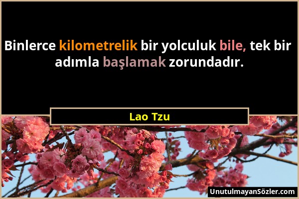 Lao Tzu - Binlerce kilometrelik bir yolculuk bile, tek bir adımla başlamak zorundadır....