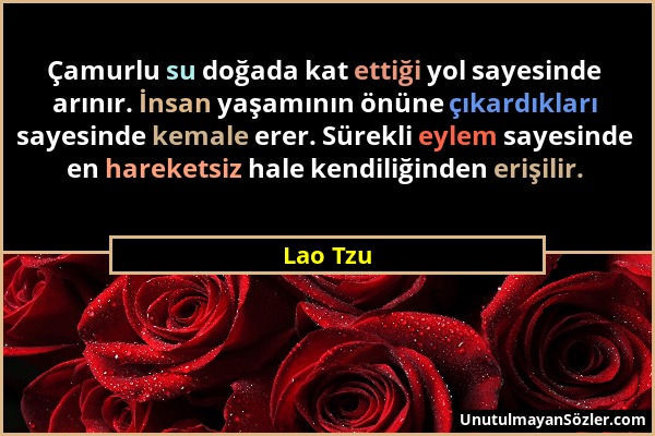 Lao Tzu - Çamurlu su doğada kat ettiği yol sayesinde arınır. İnsan yaşamının önüne çıkardıkları sayesinde kemale erer. Sürekli eylem sayesinde en hare...