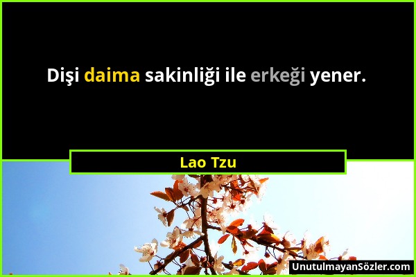 Lao Tzu - Dişi daima sakinliği ile erkeği yener....