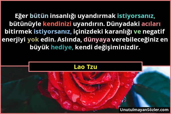 Lao Tzu - Eğer bütün insanlığı uyandırmak istiyorsanız, bütünüyle kendinizi uyandırın. Dünyadaki acıları bitirmek istiyorsanız, içinizdeki karanlığı v...