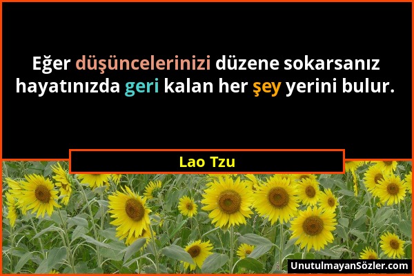 Lao Tzu - Eğer düşüncelerinizi düzene sokarsanız hayatınızda geri kalan her şey yerini bulur....