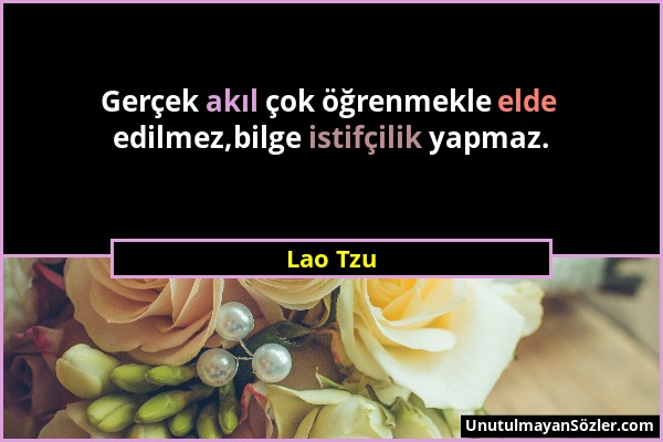 Lao Tzu - Gerçek akıl çok öğrenmekle elde edilmez,bilge istifçilik yapmaz....