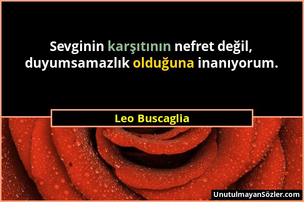 Leo Buscaglia - Sevginin karşıtının nefret değil, duyumsamazlık olduğuna inanıyorum....