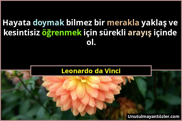 Leonardo da Vinci - Hayata doymak bilmez bir merakla yaklaş ve kesintisiz öğrenmek için sürekli arayış içinde ol....