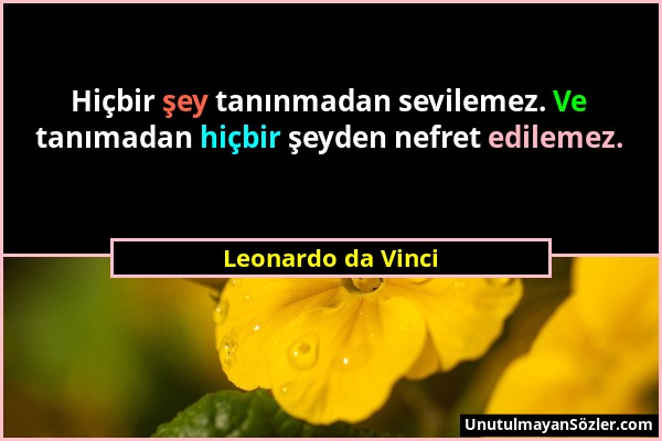 Leonardo da Vinci - Hiçbir şey tanınmadan sevilemez. Ve tanımadan hiçbir şeyden nefret edilemez....