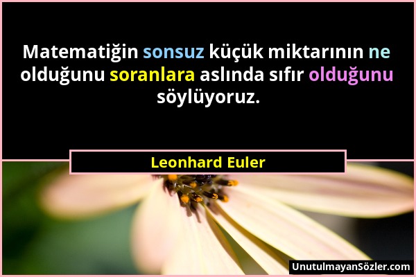 Leonhard Euler - Matematiğin sonsuz küçük miktarının ne olduğunu soranlara aslında sıfır olduğunu söylüyoruz....