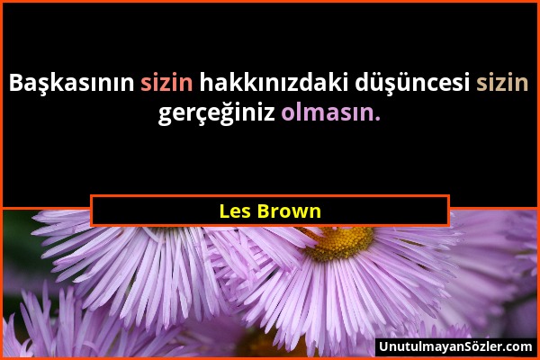 Les Brown - Başkasının sizin hakkınızdaki düşüncesi sizin gerçeğiniz olmasın....