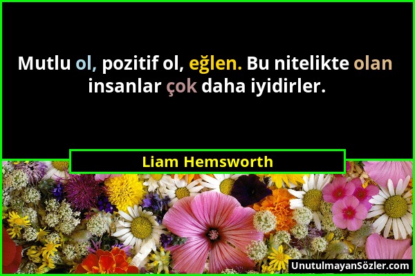 Liam Hemsworth - Mutlu ol, pozitif ol, eğlen. Bu nitelikte olan insanlar çok daha iyidirler....