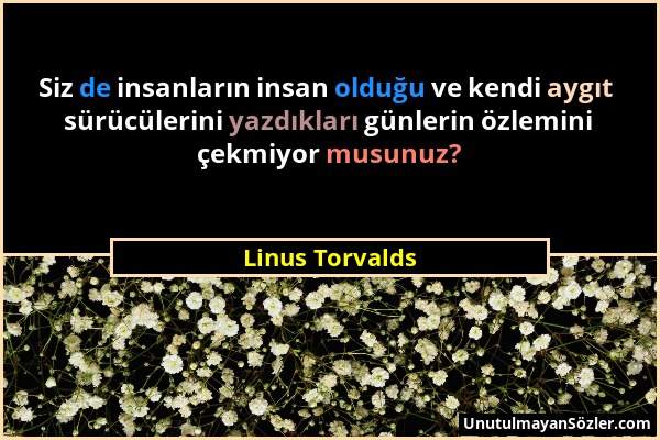 Linus Torvalds - Siz de insanların insan olduğu ve kendi aygıt sürücülerini yazdıkları günlerin özlemini çekmiyor musunuz?...