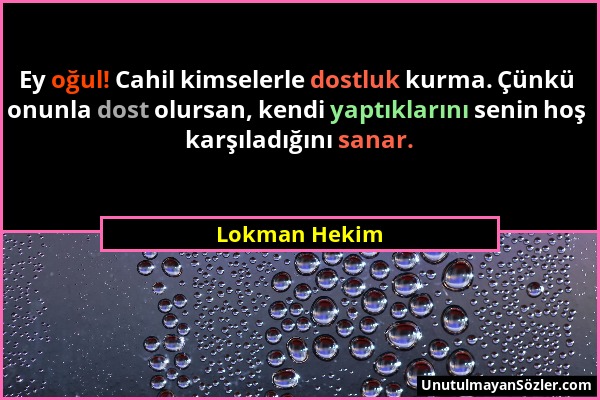 Lokman Hekim - Ey oğul! Cahil kimselerle dostluk kurma. Çünkü onunla dost olursan, kendi yaptıklarını senin hoş karşıladığını sanar....