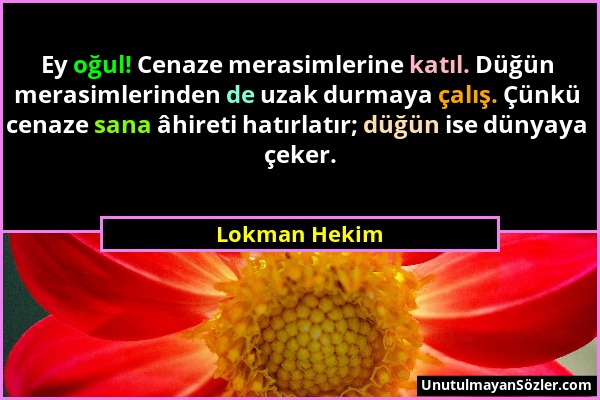 Lokman Hekim - Ey oğul! Cenaze merasimlerine katıl. Düğün merasimlerinden de uzak durmaya çalış. Çünkü cenaze sana âhireti hatırlatır; düğün ise dünya...