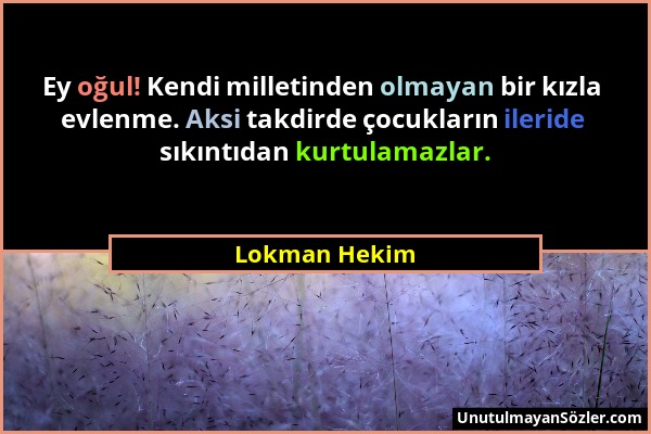 Lokman Hekim - Ey oğul! Kendi milletinden olmayan bir kızla evlenme. Aksi takdirde çocukların ileride sıkıntıdan kurtulamazlar....